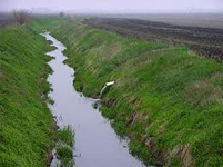 field